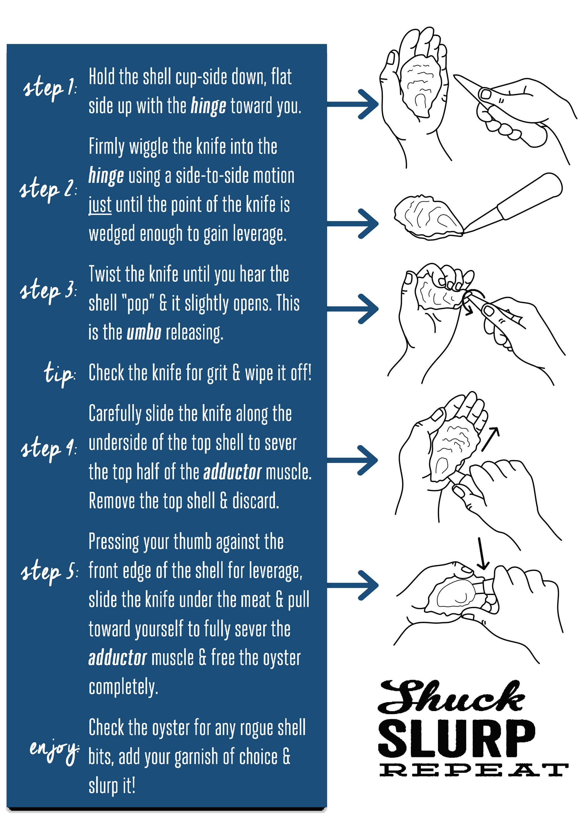 final-draft---shellfish-pamphlet_page_3.jpg final-draft---shellfish-pamphlet_page_3.jpg