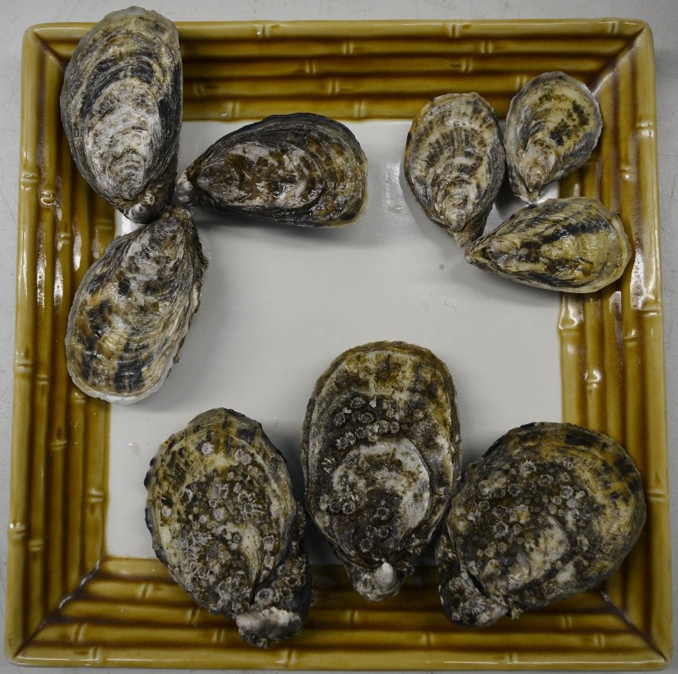 Grand Cru Oysters in a basket Grand Cru Oysters
