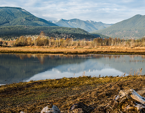 shellfish-hatchery.jpg shellfish-hatchery.jpg